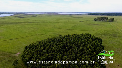 INICIO GADO TOP.00_02_02_15.Quadro029_402d9b00d7590d1dacb10d3c4f234583d8d36721.jpg